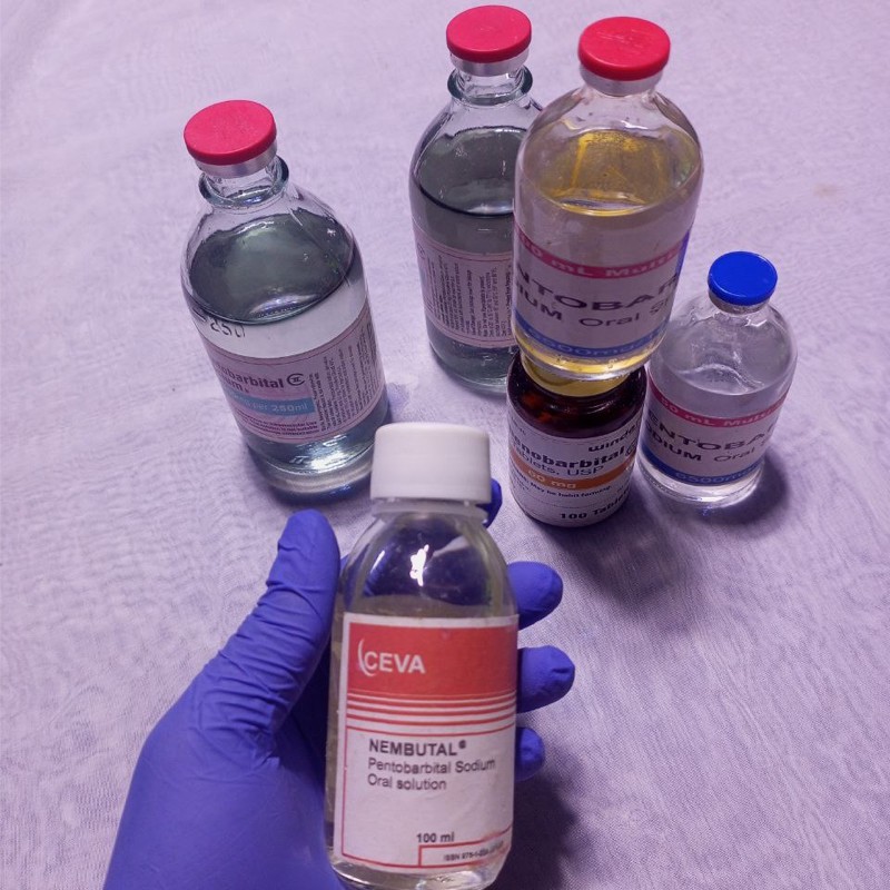 secure-nembutal-purchase-threema-id-s4bpcafj-nembutal-pentobarbital-sodium-for-sale
